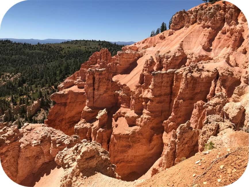 Bryce Canyon: 4-Hour, 4-Seat or 5-Seat ATV Rental - Getting started at Bryce Wildlife Museum: quick check-in, easy access