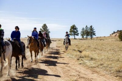 Bryce Canyon: Horseback Ride in the Dixie National Forest - Dixie National Forest: Why This Ride Feels More Like a Real Escape