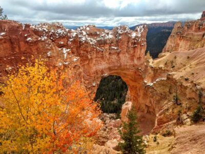 Bryce: Guided Sightseeing Tour of Bryce Canyon National Park - Getting Started: Meet Up Outside the Park (Read This Part)