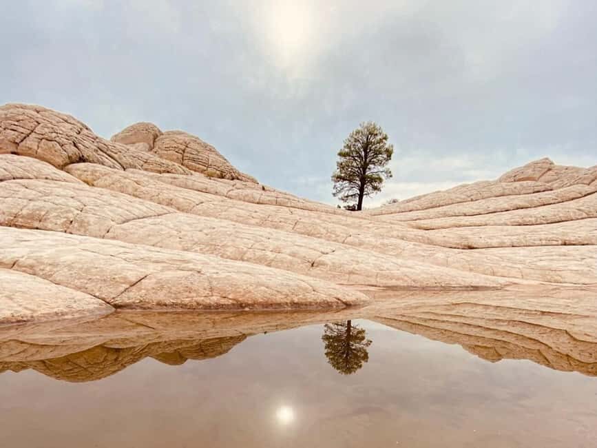 Kanab: White Pocket Rock Formation Small Group Tour - Who should pick this Kanab small-group tour?