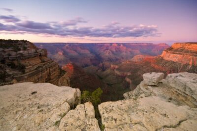 Las Vegas: Grand Canyon National Park Day Tour - The luxury coach: comfort that actually helps on a 14–15 hour day