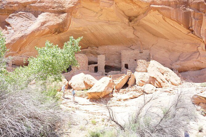 San Juan River and Hummer Cliff Dwelling Expedition - Petroglyphs and petroglyph context: learning without a lecture vibe