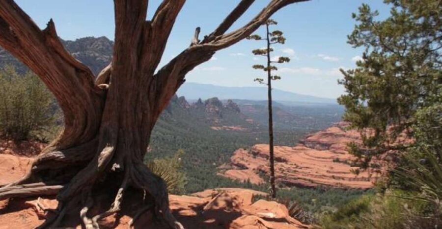 Sedona: PRIVATE 2-Hour Colorado Plateau Scenic Jeep Tour - Key highlights you’ll actually care about