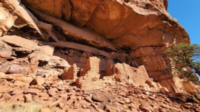Sedona: The Scientific and Spiritual Vortex Tour - What a 3-Hour Walk-and-Talk Really Means on the Ground