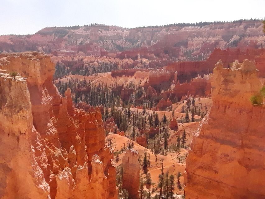 Small Group Tour Zion & Bryce Canyon National from Las Vegas - Who This Zion and Bryce Tour Fits Best